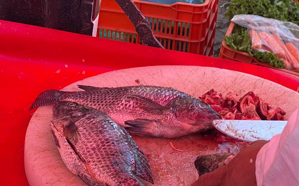 Aumenta 20 por ciento el precio de pescados y mariscos - El Sol de  Tulancingo | Noticias Locales, Policiacas, sobre México, Hidalgo y el Mundo